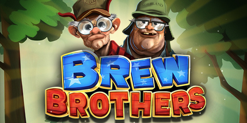 Обзор игрового автомата Brew Brothers