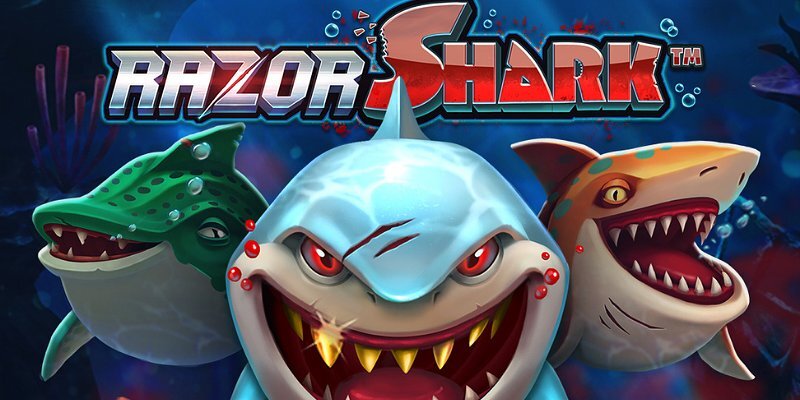 Где играть в Razor Shark
